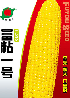 富粘一号 富粘一号