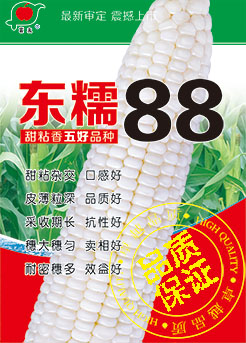东糯88 东糯88