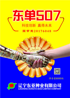 东单507 东单507