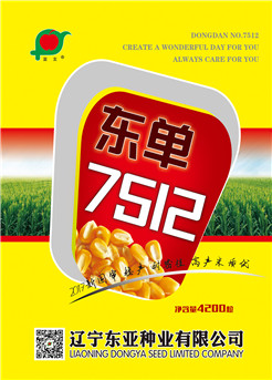 东单7512 东单7512