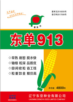 东单913 东单913