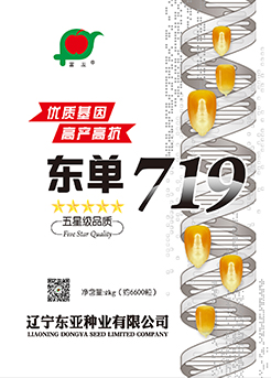 东单719 东单719