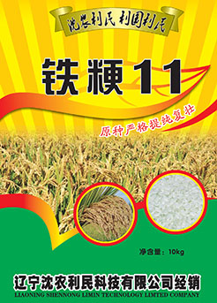 铁粳11 铁粳11