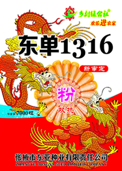 东单1316 东单1316